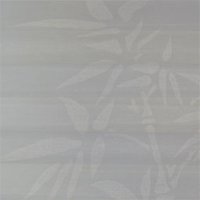Bamboo image