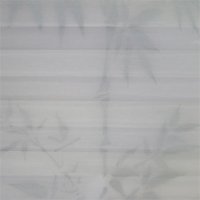 Bamboo image