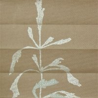 Grass image