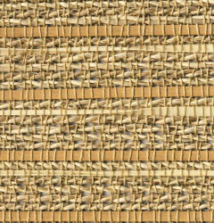 bamboo image